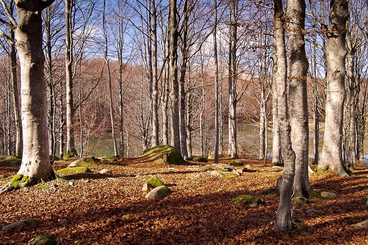 Comfortable Chalet In Giarola With Mountain View Busana
