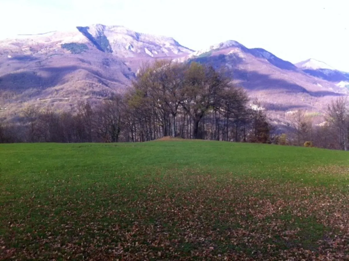 Comfortable Chalet In Giarola With Mountain View Busana